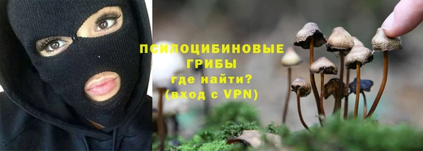дживик Алзамай