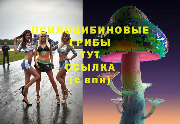мяу мяу мука Алексеевка