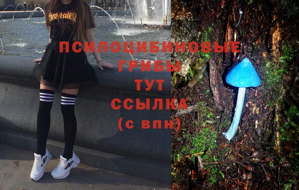 ALPHA-PVP Алексин
