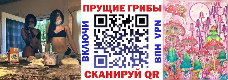 закладки  Сясьстрой  Псилоцибиновые грибы мухоморы 